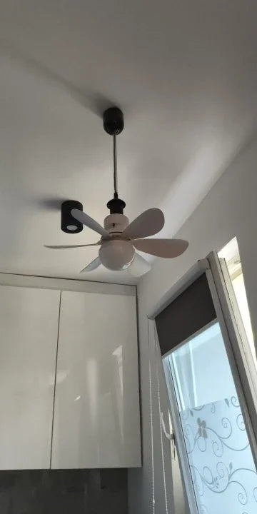 Ventilateur de Plafond LED 30W E27 Avec Télécommande pour Variateur d'Intensité, Adapté au Salon, au Bureau et à un Usage Domestique 85-265V